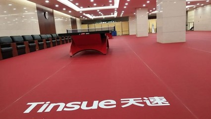 乒乓球馆用运动地板-北京大有-房山区运动地板